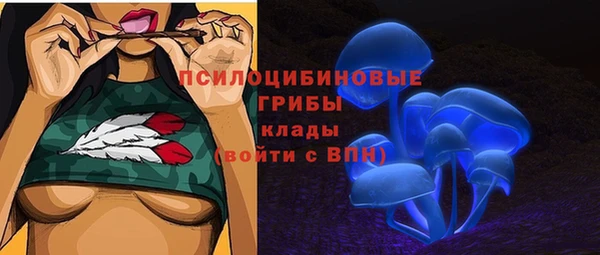 прущий лед Белокуриха