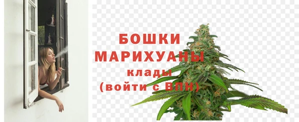 прущие крисы Белоозёрский