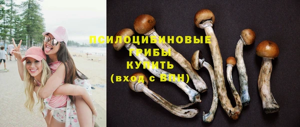 гашиш Богданович