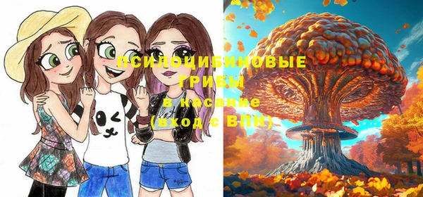 прущие крисы Белоозёрский