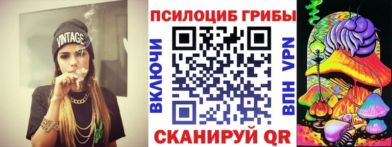 Галлюциногенные грибы Psilocybine cubensis  Купить закладки  Мариинский Посад 
